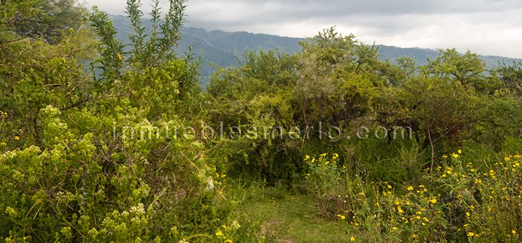 Terreno Cerro de Oro Merlo San Luis