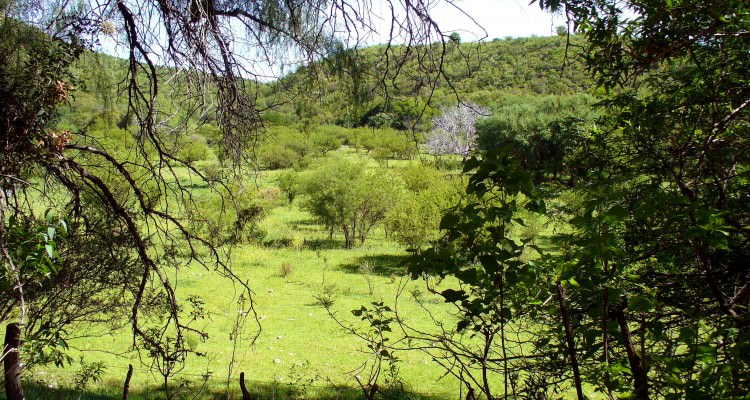 Campo en Traslasierra con Excelentes Vistas Panorámicas