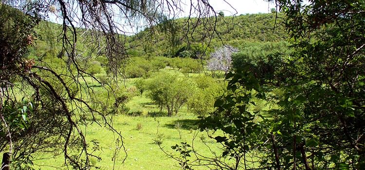 Campo con Casa en Traslasierra Córdoba