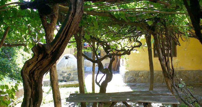 Vista de la Pergola y Parra en la Terraza