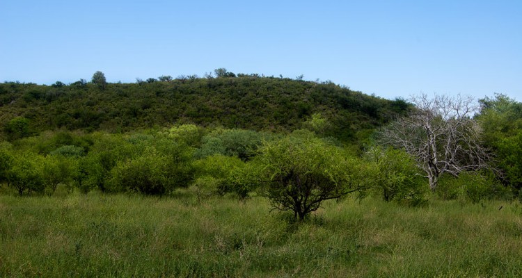 3 Has de Campo en Traslasierra enmarcado por Lomas