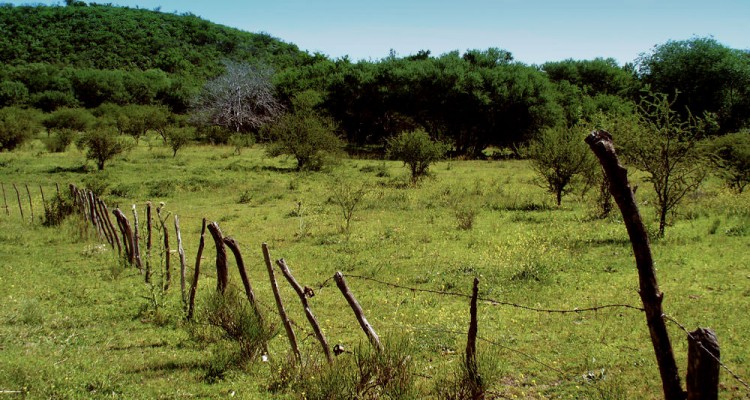 Campo en Traslasierra alambrado interno