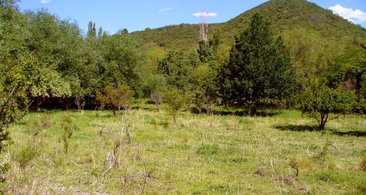 Campo en Traslasierra amplia zona abierta entre Colinas