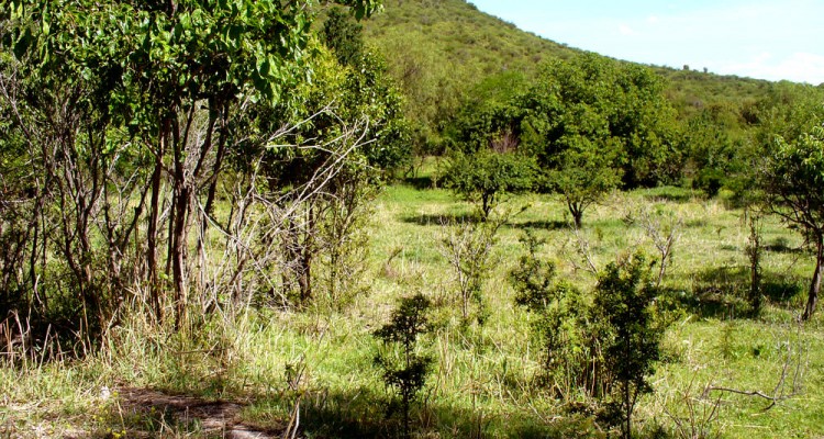 El Campo en Traslasierra es un Valle entre Colinas