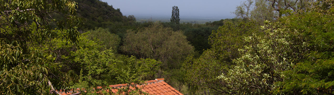 Campo con Casa en Traslasierra