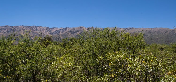  Vista a las Sierras desde el Lote