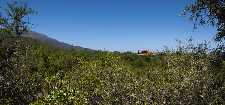 Terreno en Carpintería Merlo San Luis de 6800 m2