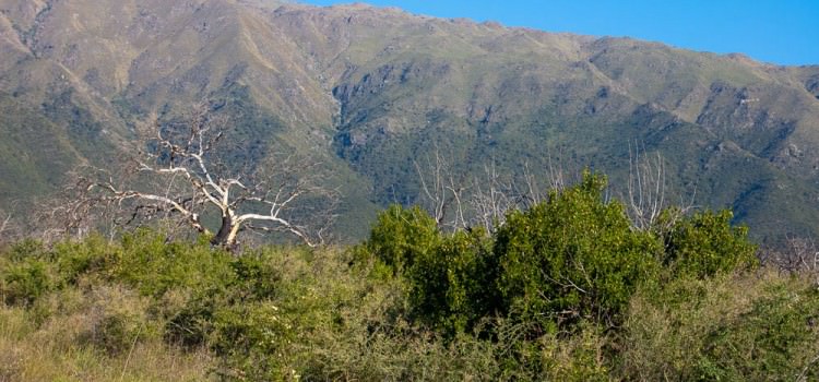 Lotes en Carpintería San Luis de 1000 a 3000 m2