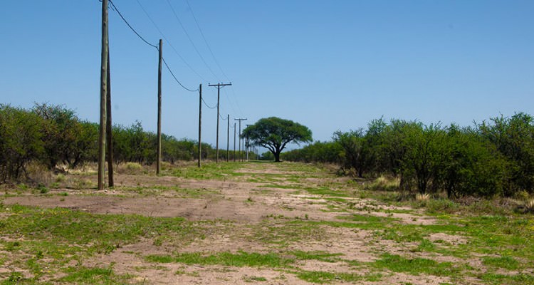 Calle de Loteo en Cortaderas