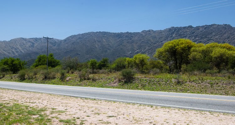 Vista Este desde Loteo en Cortaderas